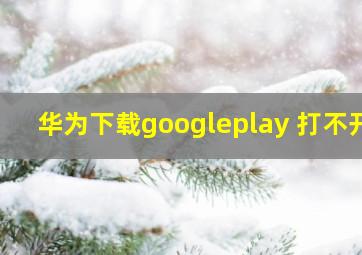 华为下载googleplay 打不开